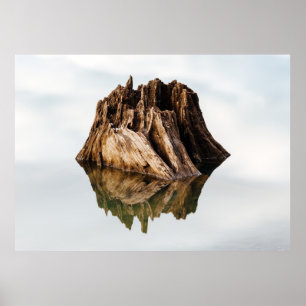 BROWN HOLZRAHMEN POSTER