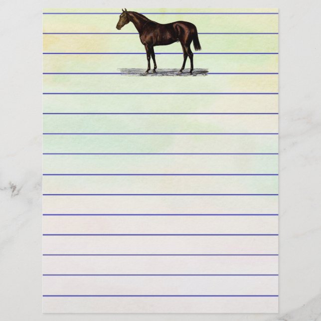 Brown Horse (Vorderseite)