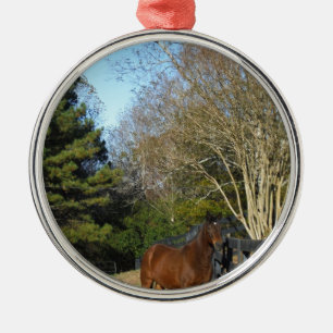 Brown Horse against a Fence Ornament Aus Metall