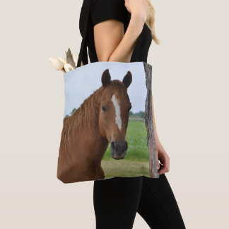 Brown Horse by Tree Tasche