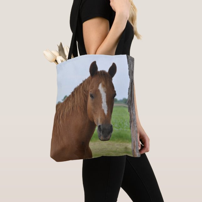 Brown Horse by Tree Tasche (Von Nahem)