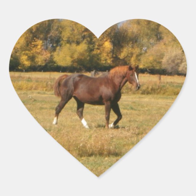Brown Horse Herz-Aufkleber (Vorderseite)