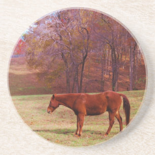 Brown horse in a grass field sandstein untersetzer