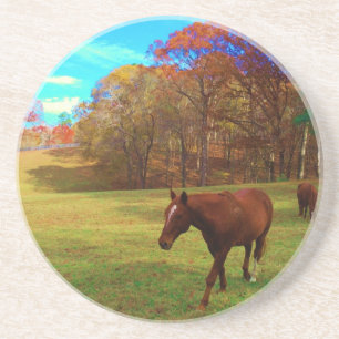 Brown Horse in a Rainbow colored field Sandstein Untersetzer