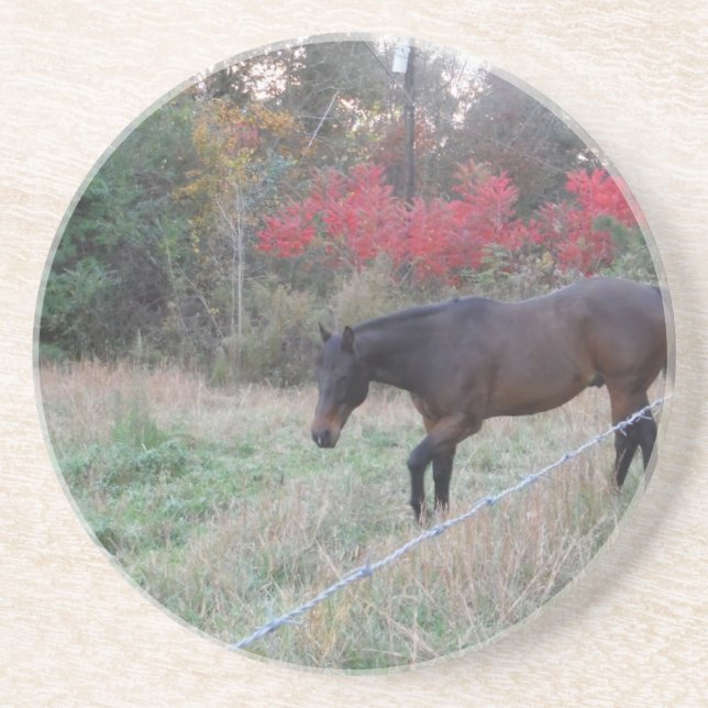 Brown horse in the red autumn trees untersetzer (Vorne)