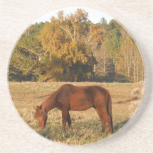 Brown horse in  yellow tree field untersetzer