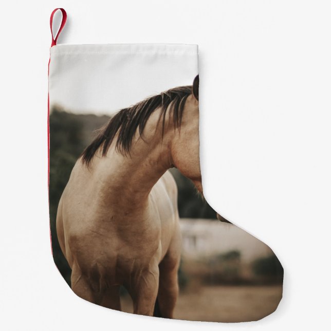 BROWN HORSE KLEINER WEIHNACHTSSTRUMPF (Vorderseite)
