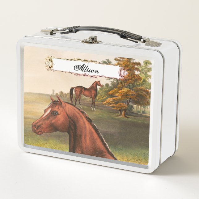 Brown Horse Metall Brotdose (Vorderseite)