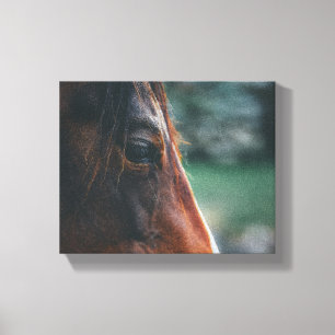 Brown Horse Nah-Up Leinwanddruck