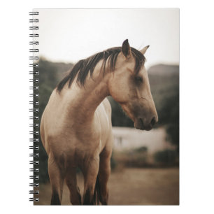 BROWN HORSE NOTIZBLOCK