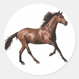 Brown Horse Runder Aufkleber