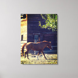 Brown Horse Walking Leinwanddruck