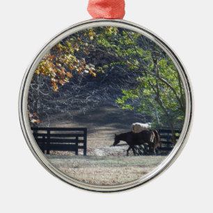 Brown Horse walking through Fence Ornament Aus Metall