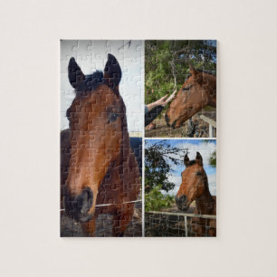 Brown Horses Foto Collage,