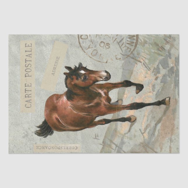 Brown Horte Carte Postale Französisches Grünes Dek Seidenpapier (Vorderseite)