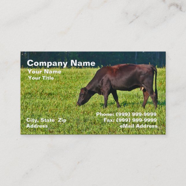Brown-Kuh, die auf Gras füttert Visitenkarte (Vorderseite)