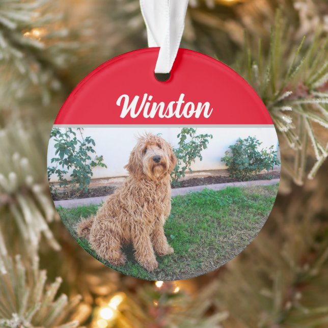 Brown Labradoodle Hund mit Name Foto Weihnachten Ornament (Baum)