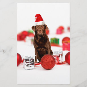 Brown Labrador Dog Christmas w Geschenke Weihnacht Briefpapier
