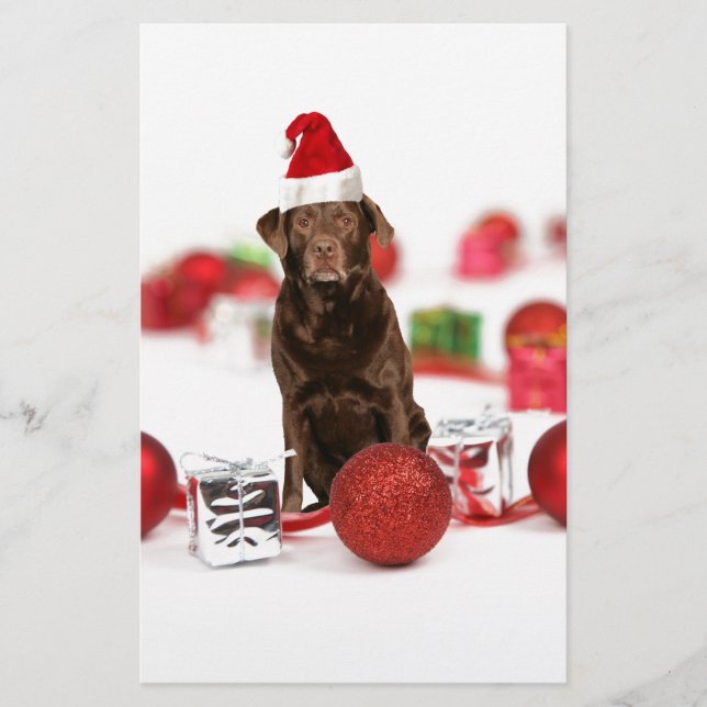Brown Labrador Dog Christmas w Geschenke Weihnacht Briefpapier (Vorderseite)