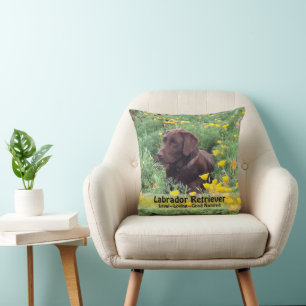 Brown Labrador Hund in Poppy Patch Fotografie Kissen