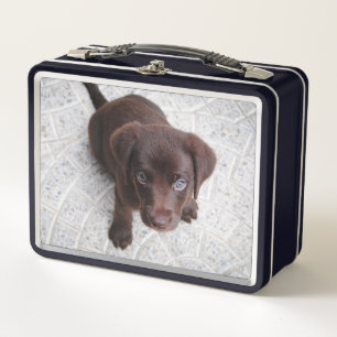 Brown Labrador Puppy Metall Brotdose