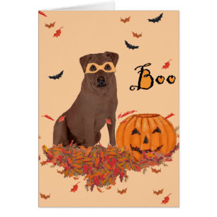 Brown Labrador Retriever Halloween