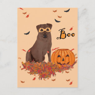 Brown Labrador Retriever Halloween Postkarte