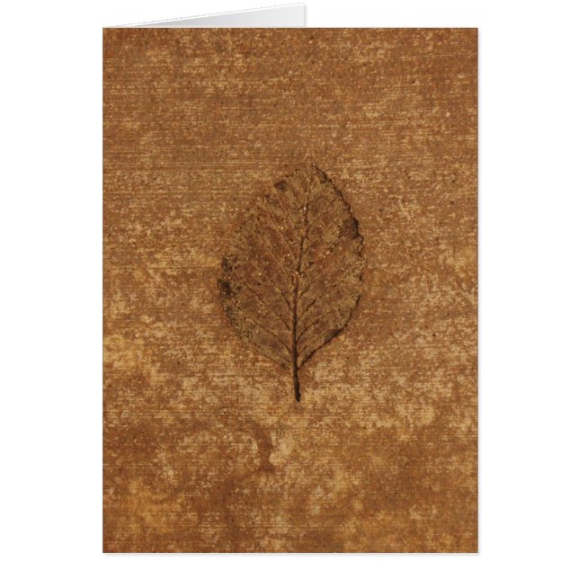 Brown Leaf Fossil (Vorne)
