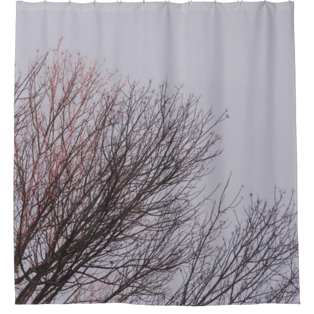 BROWN LEAFLESS BAUM UNTER WEISSER HAUT DUSCHVORHANG (Vorderseite)