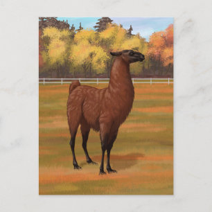 Brown Llama im Herbstweide Postkarte