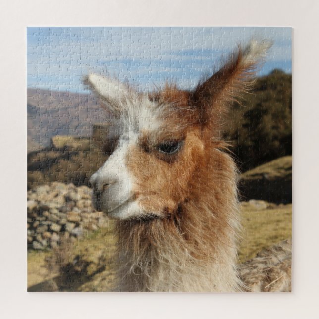 Brown Llama Nah up Face Profile - Cusco Peru (Vertikal)