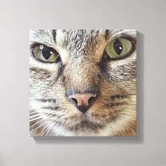 Brown Longhair Tabby Cat Leinwanddruck