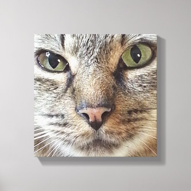 Brown Longhair Tabby Cat Leinwanddruck (Vorderseite)