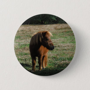 Brown-Miniatur-Pferde Button