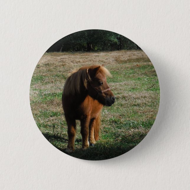 Brown Miniature Horses Button (Vorderseite)