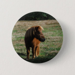 Brown Miniature Horses Button