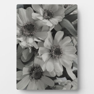 Brown Mit Augen Susan Blume Fotoplatte