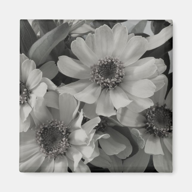 Brown Mit Augen Susan Blume Magnet (Vorne)