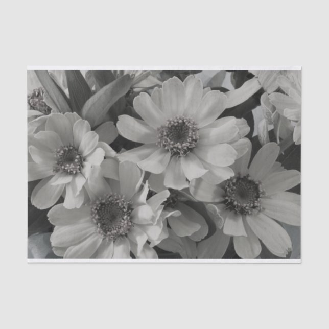 Brown Mit Augen Susan Blume Seidenpapier (Vorderseite)