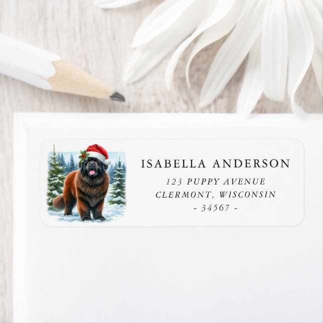 Brown Newfundland Dog Winter Watercolor Anschrift (Insitu)