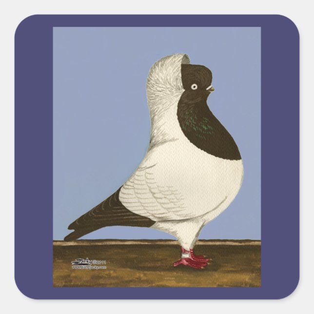 Brown Nun Pigeon Quadratischer Aufkleber (Vorderseite)