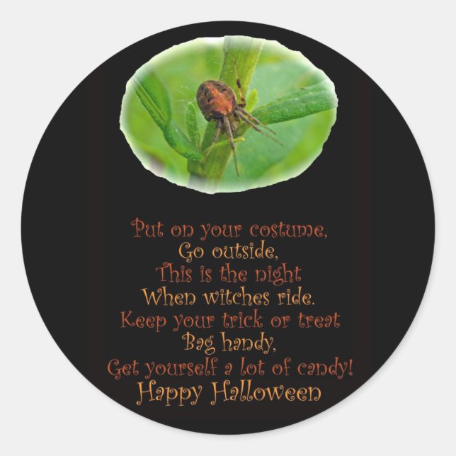 Brown Orange Araneus Halloween Sticker (Vorderseite)