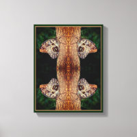 Brown Owl Butterfly Nah Natur Abstrakt