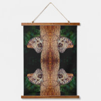 Brown Owl Butterfly Natur Abstrakt