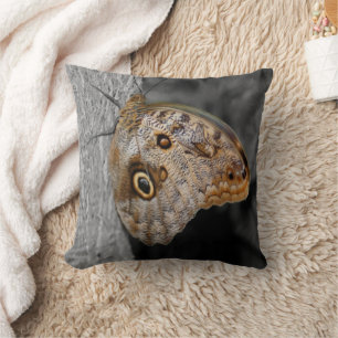 Brown Owl Butterfly Nature Kissen