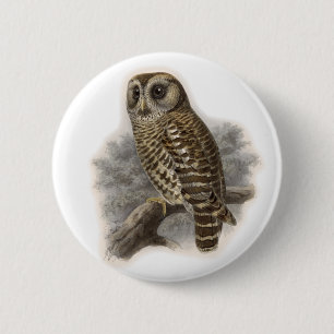 Brown Owl Button