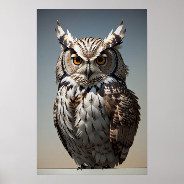 Brown Owl Poster (Vorne)