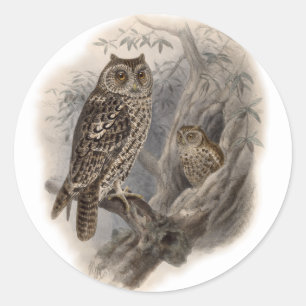 Brown Owl Runder Aufkleber
