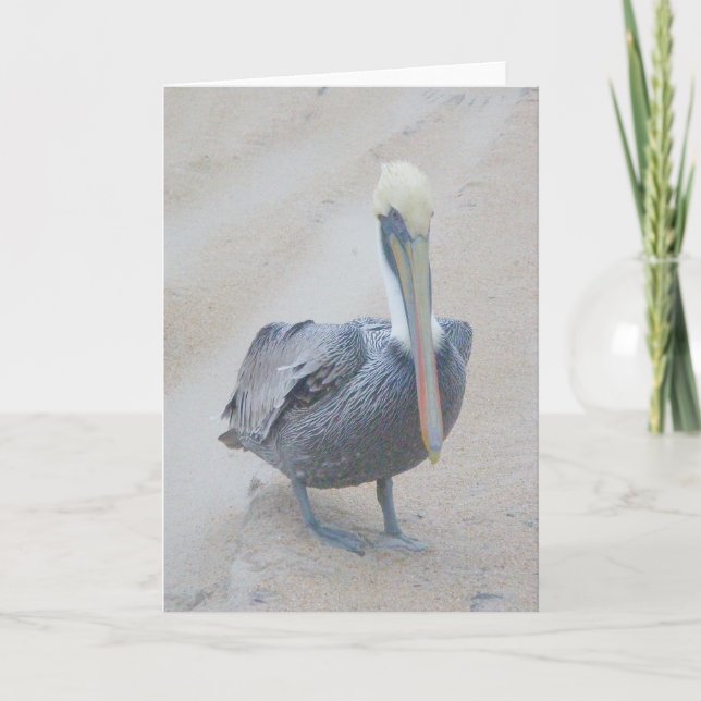 Brown Pelican #1 Note Card Karte (Vorderseite)