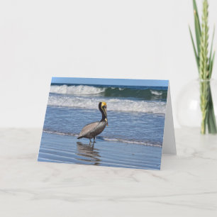 Brown Pelican am Strand von Florida Karte